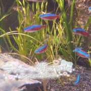 ヒメ日記 2025/10/10 12:20 投稿 のどか SPIN(スピン)