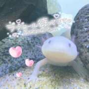 ヒメ日記 2025/10/27 16:00 投稿 のどか SPIN(スピン)