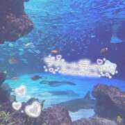 ヒメ日記 2025/11/06 12:01 投稿 のどか SPIN(スピン)