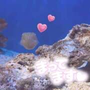 ヒメ日記 2025/11/15 12:23 投稿 のどか SPIN(スピン)