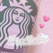 ヒメ日記 2025/11/18 20:22 投稿 のどか SPIN(スピン)