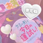 ヒメ日記 2026/02/09 12:23 投稿 のどか SPIN(スピン)