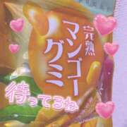 ヒメ日記 2026/02/23 15:07 投稿 のどか SPIN(スピン)