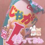 ヒメ日記 2026/02/25 15:04 投稿 のどか SPIN(スピン)