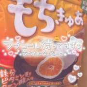 ヒメ日記 2026/02/27 12:09 投稿 のどか SPIN(スピン)