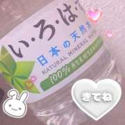 ヒメ日記 2026/04/11 12:04 投稿 のどか SPIN(スピン)