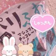 ヒメ日記 2026/04/14 12:50 投稿 のどか SPIN(スピン)