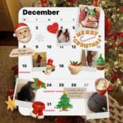 ヒメ日記 2025/12/18 12:05 投稿 マンチェスター お願いマラどーな