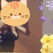 ヒメ日記 2025/10/14 14:26 投稿 ももか 五反田アンジェリーク