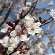 ヒメ日記 2025/04/29 14:48 投稿 にこ【145cm☆F乳現役学生】 モッチーナ