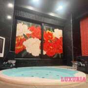 ヒメ日記 2026/03/01 19:56 投稿 もも♡清楚系風俗未経験♡体験 LUXURIA（ルクスリア）
