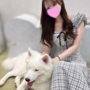 ヒメ日記 2026/05/31 16:17 投稿 APPLE GRAND STAGE