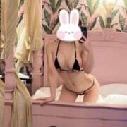 ヒメ日記 2025/04/24 03:57 投稿 都倉さとみ MIRAI TOKYO 六本木店