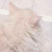 ヒメ日記 2026/03/08 23:29 投稿 ゆゆ クラブアリア -CLUB ARIA-