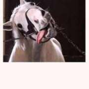 ヒメ日記 2025/08/17 13:42 投稿 あすか Charme（シャルム）