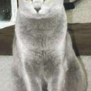 ヒメ日記 2026/04/20 13:00 投稿 白川 鶯うぐ