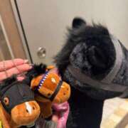 ヒメ日記 2026/03/31 16:03 投稿 三上さやか 渋谷ガーデン