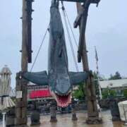 ヒメ日記 2025/06/11 15:45 投稿 乃々（のの） 熟女の風俗最終章 大宮店