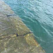 ヒメ日記 2025/07/09 19:45 投稿 乃々（のの） 熟女の風俗最終章 大宮店