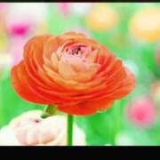 ヒメ日記 2025/11/18 16:38 投稿 乃々（のの） 熟女の風俗最終章 大宮店