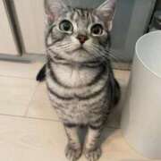 ヒメ日記 2026/01/31 00:54 投稿 乃々（のの） 熟女の風俗最終章 大宮店