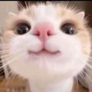 ヒメ日記 2026/03/13 16:16 投稿 乃々（のの） 熟女の風俗最終章 大宮店