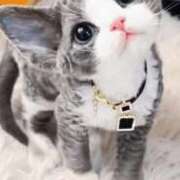 ヒメ日記 2026/03/31 02:35 投稿 乃々（のの） 熟女の風俗最終章 大宮店