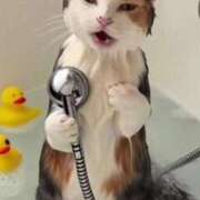 ヒメ日記 2026/04/08 16:05 投稿 乃々（のの） 熟女の風俗最終章 大宮店