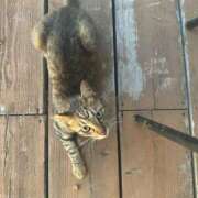 ヒメ日記 2025/04/30 07:09 投稿 九条なつき セレブショップ新宿（東京ハレ系）