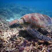 ヒメ日記 2025/05/02 09:15 投稿 九条なつき セレブショップ新宿（東京ハレ系）