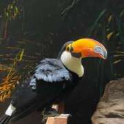 ヒメ日記 2025/05/04 09:02 投稿 九条なつき セレブショップ新宿（東京ハレ系）