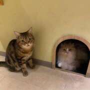 ヒメ日記 2025/05/14 09:36 投稿 九条なつき セレブショップ新宿（東京ハレ系）