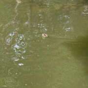 ヒメ日記 2025/06/16 10:58 投稿 九条なつき セレブショップ新宿（東京ハレ系）