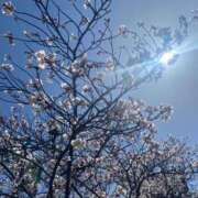 ヒメ日記 2025/08/18 12:29 投稿 九条なつき セレブショップ新宿（東京ハレ系）