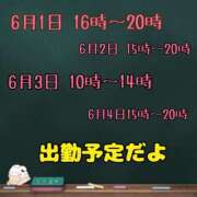 ヒメ日記 2025/05/28 15:34 投稿 まりな 沖縄ちゃんこ那覇店