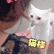 ヒメ日記 2026/06/11 13:34 投稿 まりな 沖縄ちゃんこ那覇店