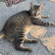 ヒメ日記 2026/07/30 21:24 投稿 まりな 沖縄ちゃんこ那覇店