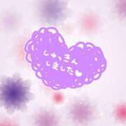 ヒメ日記 2025/05/15 17:23 投稿 じゅり いわき小名浜ちゃんこ