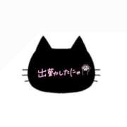 ヒメ日記 2025/05/22 15:23 投稿 じゅり いわき小名浜ちゃんこ