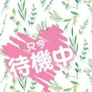 ヒメ日記 2025/05/28 00:43 投稿 じゅり いわき小名浜ちゃんこ