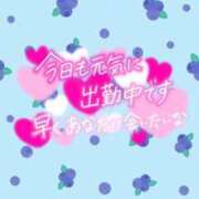 ヒメ日記 2025/06/08 15:23 投稿 じゅり いわき小名浜ちゃんこ