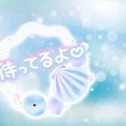 ヒメ日記 2025/06/14 15:23 投稿 じゅり いわき小名浜ちゃんこ