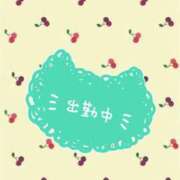 ヒメ日記 2025/06/24 15:43 投稿 じゅり いわき小名浜ちゃんこ