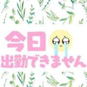 ヒメ日記 2025/06/25 11:53 投稿 じゅり いわき小名浜ちゃんこ