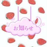 ヒメ日記 2025/06/26 08:03 投稿 じゅり いわき小名浜ちゃんこ