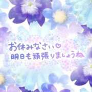 ヒメ日記 2025/09/12 03:53 投稿 じゅり いわき小名浜ちゃんこ