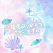 じゅり 💌ドルフィン Mさんへ いわき小名浜ちゃんこ