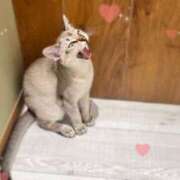 ヒメ日記 2025/12/08 15:33 投稿 あすみ 素敵な女の子は好きですか？