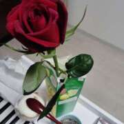 ヒメ日記 2025/05/15 05:00 投稿 道明寺りの 全裸にされた女たちor欲しがり痴漢電車