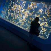 ヒメ日記 2025/07/12 12:46 投稿 あゆみ 制服これくしょん